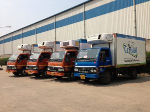 Reefer trucks grow in stature