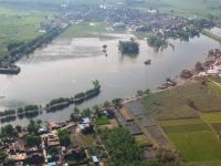 CVs Turn Saviours In Punjab